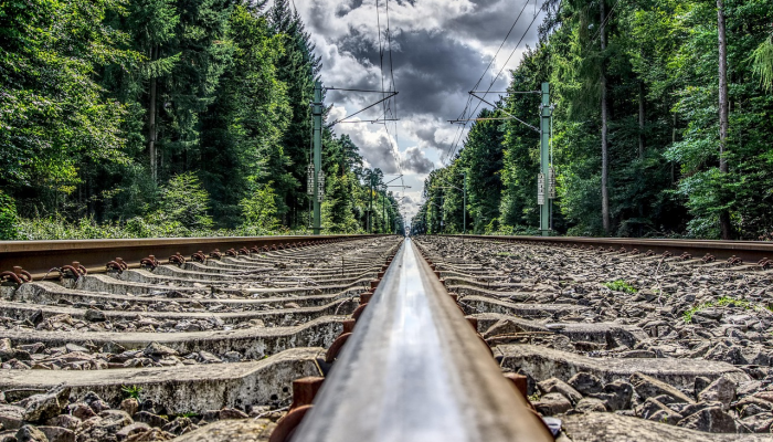 崇明最新疫情轨迹:全面解读与未来展望 崇明最新疫情轨迹:全面解读与未来展望