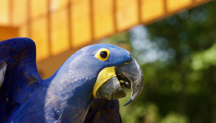 苏州疫情最新五月一号:迈向康复与重生的新篇章 苏州疫情最新五月一号:迈向康复与重生的新篇章