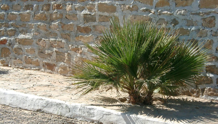 淄博沂原疫情最新情况:从防控到生活恢复 淄博沂原疫情最新情况:从防控到生活恢复