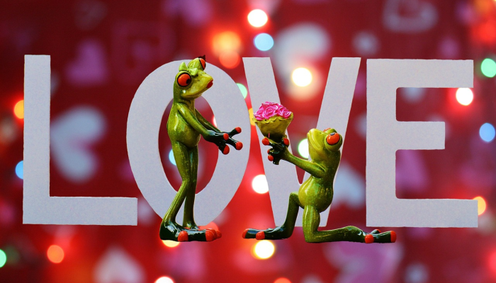 今日朝阳最新疫情:你需要知道的一切 今日朝阳最新疫情:你需要知道的一切