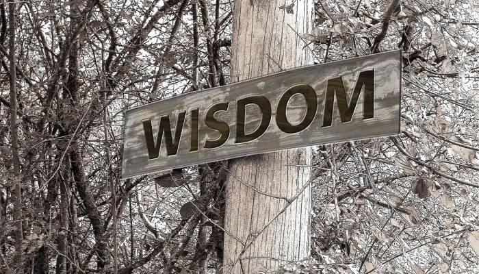 界首疫情最新封路:防疫措施与市民生活影响深度解析 界首疫情最新封路:防疫措施与市民生活影响深度解析