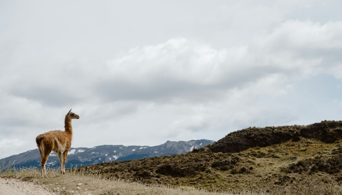 新沂疫情最新今天：健康守护，共同奋战