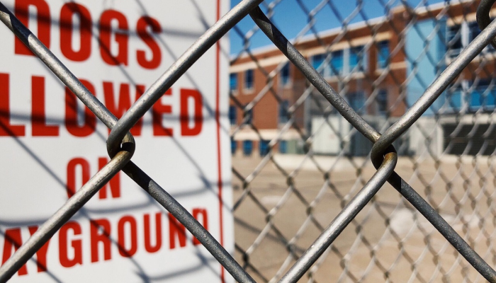 泽达学校最新疫情：安全与教育并重的深刻探讨