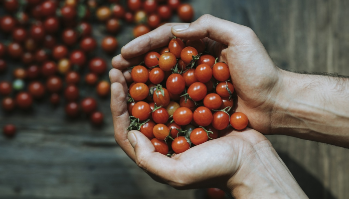 太原的最新疫情辟谣 太原的最新疫情辟谣